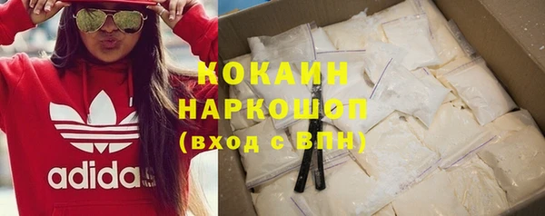 шишки Белоозёрский