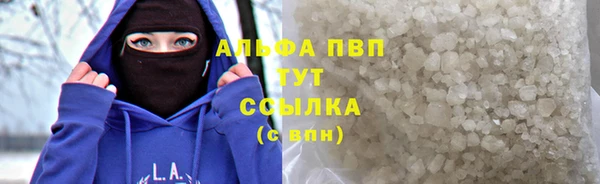 шишки Белоозёрский