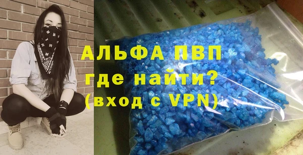 шишки Белоозёрский