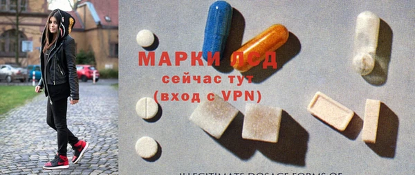 шишки Белоозёрский